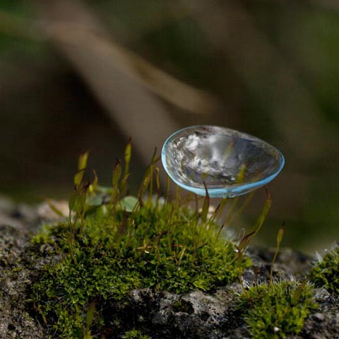 Lenticular (Spring)